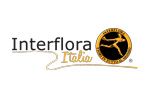 gift card Interflora