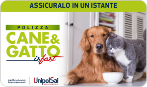 gift card UnipolSai Cane&Gatto